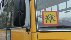 Борисовские школы забывали уведомлять о перевозках детей ГИБДД