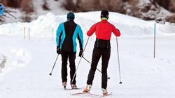 Борисовцы примут участие во Всероссийской массовой лыжной гонке «Лыжня России»