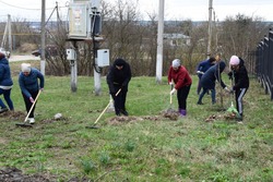 Марафон экологических субботников стартовал в Борисовском районе 