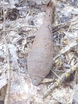 Взрывотехники изъяли одну артиллерийскую мину 81 мм времён ВОВ в селе Стригуны 