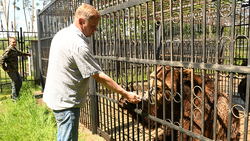 Директор зоопарка санатория «Красиво» Сергей Самарцев рассказал о жизни обитателей