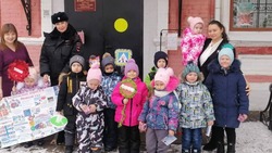 Акция по предупреждению ДТП с участием детей «Безопасной дорогой в Новый год» прошла в Борисовке 