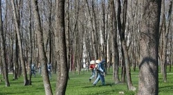 523 белгородца обратились в медучреждения по поводу укусов клещей