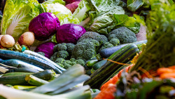 Белгородское правительство инициировало проект перехода на самообеспечение овощами