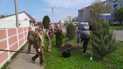 Коллектив Борисовской теплосетевой компании провёл масштабную экологическую акцию