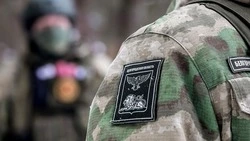 Новая платформа СВОИРОДНЫЕ.РФ для помощи участникам СВО стартовала 