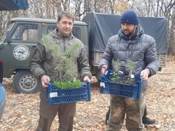 Саженцы краснокнижного растения передали в заповедник «Белогорье» 