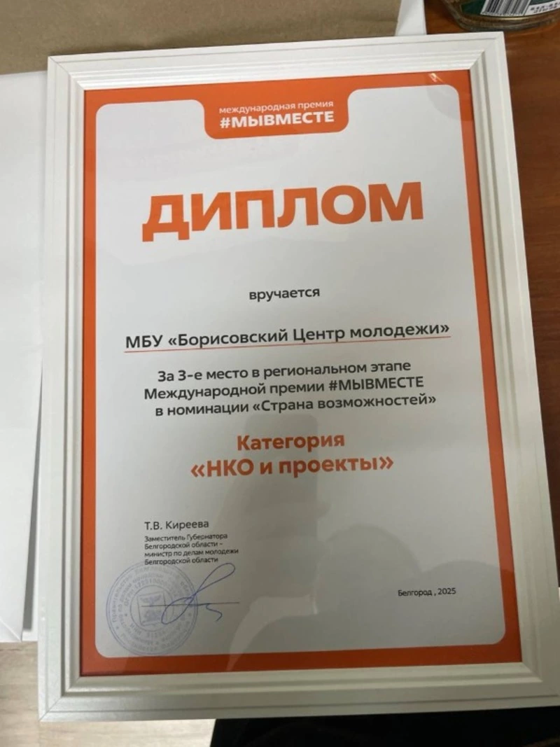 Борисовский Центр молодёжи занял третье место в региональном этапе премии «Мы вместе»