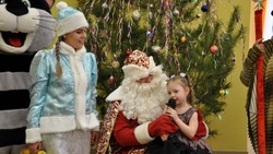 Новогодние утренники стартовали в детских садах и школах Борисовского района
