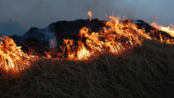 Сотрудники МЧС потушили возгорание сухой травы в посёлке Борисовка