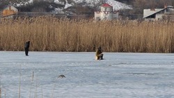 Сотрудники МЧС Борисовского района рассказали об опасности выхода на весенний лёд