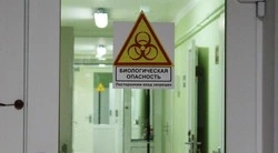 Более 900 белгородцев обратились к врачам из‑за укусов клещей 