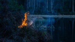 Управление МЧС Белгородской области представило статистику по ландшафтным пожарам в регионе