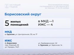 Владимир Переверзев доложил губернатору о ходе восстановительных работ в Борисовском округе