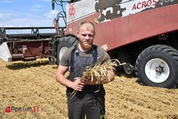  Земледельцы Борисовской зерновой компании ускорили темпы уборки 