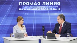 Губернатор Белгородской области прокомментировал проект «Парк мирного времени»