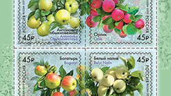 Российские сорта яблок появились на почтовых марках