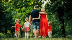 Более 400 белгородских семей подтвердили статус многодетных в электронном виде