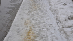 Борисовские коммунальщики приступили к работам по устранению последствий ледяного дождя