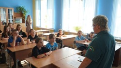 Борисовские школьники провели экологическую акцию «Сохраним лес»