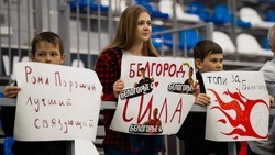 Белгородцы смогут поддержать волейбольную команду на матче в Туле 12 апреля