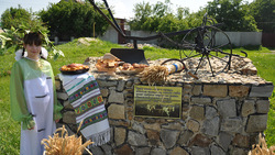 Праздник хлеба объединил борисовцев в селе Берёзовке