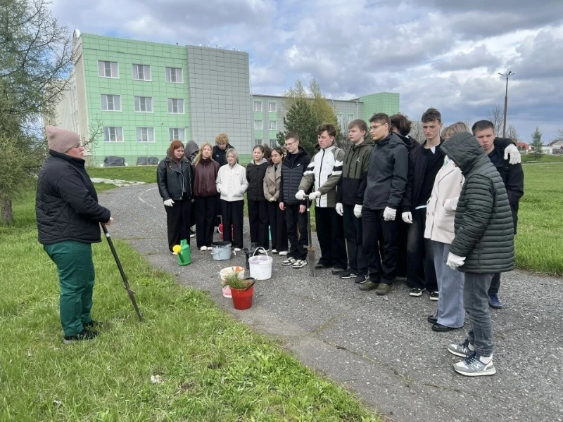 Школьники Борисовской СОШ №2 заложили новую сосновую аллею