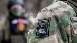 Вячеслав Гладков – о рождении 360 детей в семьях участников СВО из Белгородской области в 2024 году 