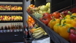Жительница Борисовки открыла магазин овощей и фруктов благодаря программе социальных контрактов