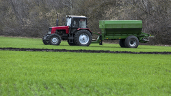 ГК «Агро-Белогорье» засеяло озимой пшеницей 44 тысяч 766 га площадей минувшей осенью