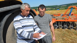 Борисовские аграрии рассчитывают на высокую урожайность ранних зерновых