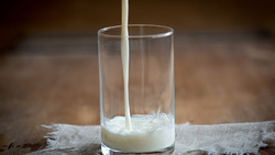 Белгородская область стала лидером по приросту производства молока