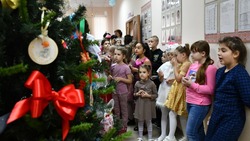 Областная акция «Ремесленная ёлка «Тепло традиций» прошла в Борисовке