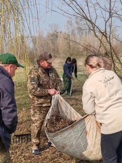 Жители Борисовского округа принимают активное участие в субботниках