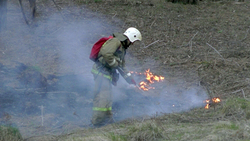 Сотрудники МЧС напомнили белгородцам об ответственности за сжигание сухой травы