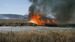 Сотрудники МЧС Борисовского района зарегистрировали 20 случаев возгорания сухой травы