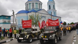 Традиционного шествия «Бессмертного полка» в Борисовском районе не будет в этом году