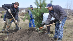 Экологический субботник прошёл в Борисовском районе