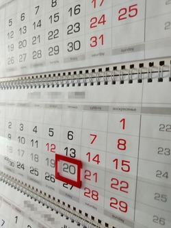 Жителей Борисовского района ждут 12-дневные новогодние каникулы в 2026 году 