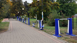 Специалисты установили уличные тренажёры в парке посёлка Борисовка