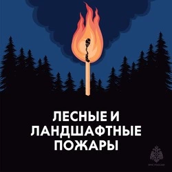Сотрудники МЧС призвали белгородцев не жечь сухую траву