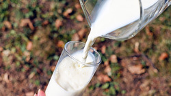 Роспотребнадзор предупредил жителей региона о фальсификате молочной продукции