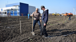 Борисовцы высадили 120 саженцев вишни и черешни возле строящегося здания МЧС