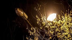 Губернатор Белгородской области Вячеслав Гладков ответил на вопрос об уличном освещении